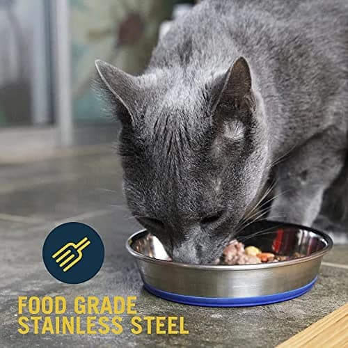 Our Pets DuraPet Stainless Steel Non-Slip Cat Bowl 1 Cup (5.3" x 5.3" x 1.1") | Whisker-Friendly & Dishwasher Safe thumbnail 4