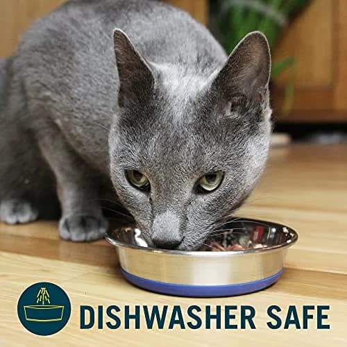 Our Pets DuraPet Stainless Steel Non-Slip Cat Bowl 1 Cup (5.3" x 5.3" x 1.1") | Whisker-Friendly & Dishwasher Safe thumbnail 6