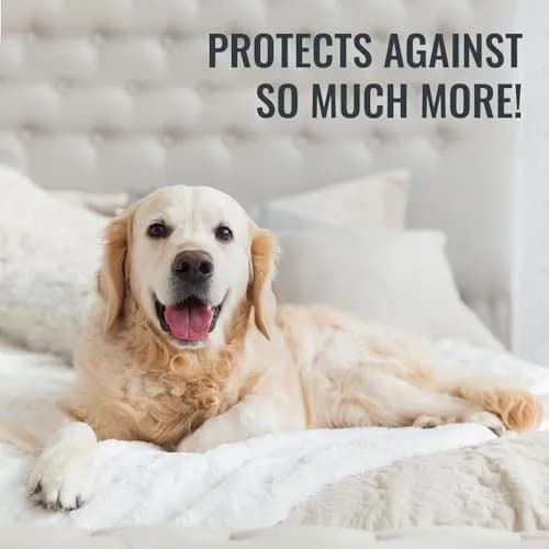 DMI Waterproof Mattress Protector and Cover Twin | Zippered, Noiseless, Durable thumbnail 8