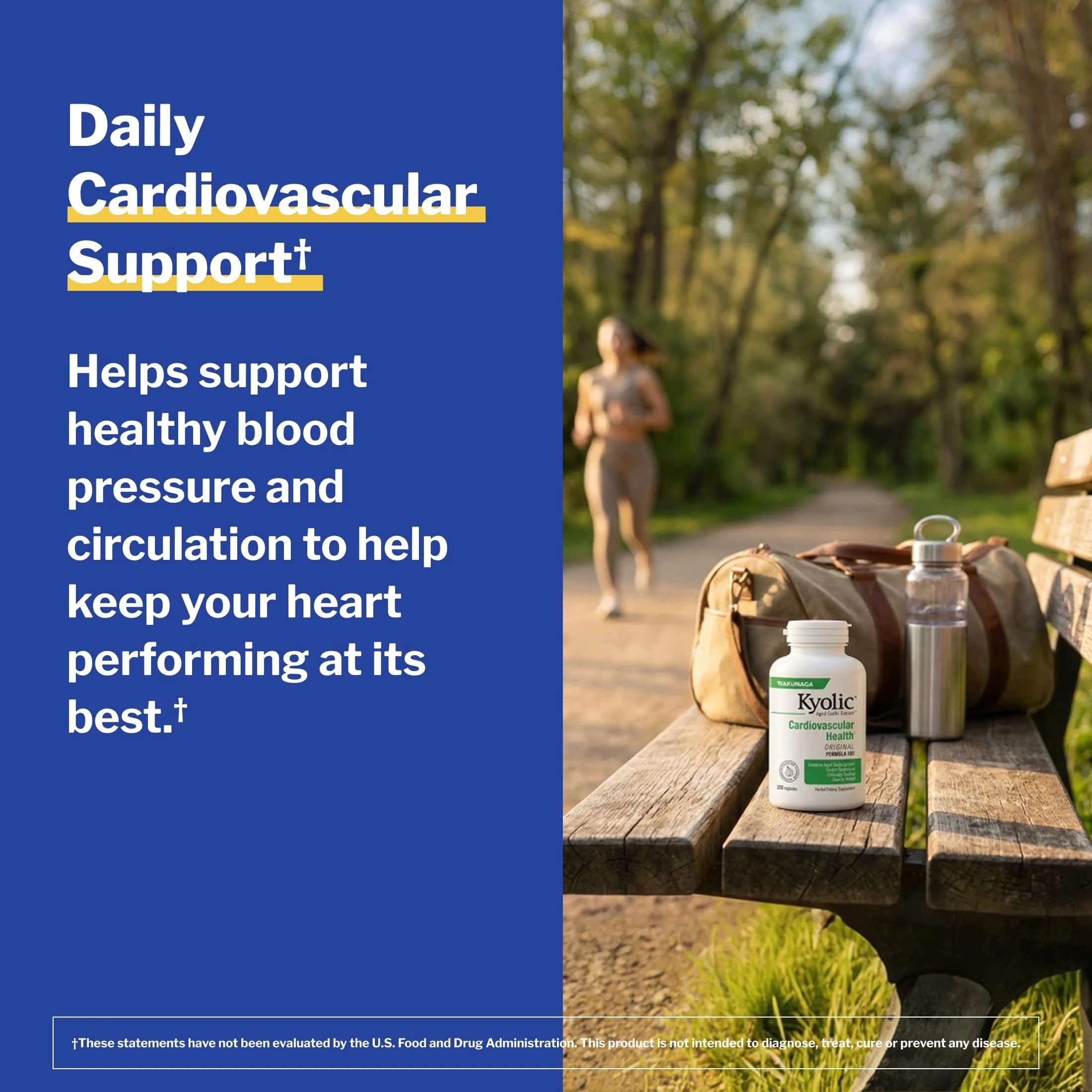Kyolic Aged Garlic Extract Cardiovascular Health Formula 100, 200 Capsules | Supports Circulatory Function with 1200 mg Aged Garlic Extract Daily - view 4