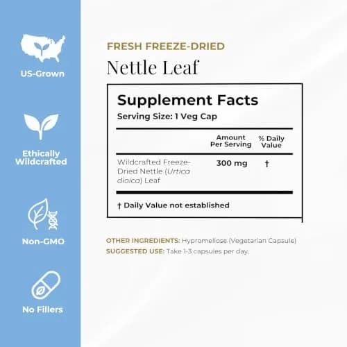 Eclectic Herb Raw Freeze-Dried Non-GMO Nettle Leaf | Supports Sinuses & Respiratory Wellness (50 Veg Caps) thumbnail 8