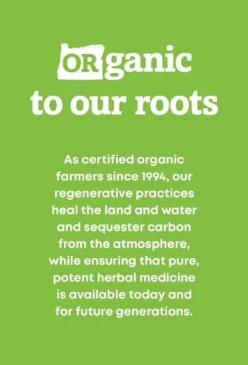 Oregon's Wild Harvest Organic Milk Thistle 90 Count | USDA Certified Herbal Supplement for Liver & Detox thumbnail 6