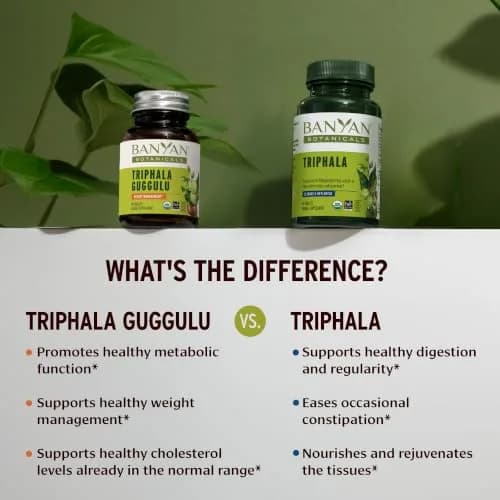 Banyan Botanicals Organic Triphala Guggulu Herbal Supplement 90 Count | USDA Organic Deep Tissue Detox thumbnail 4