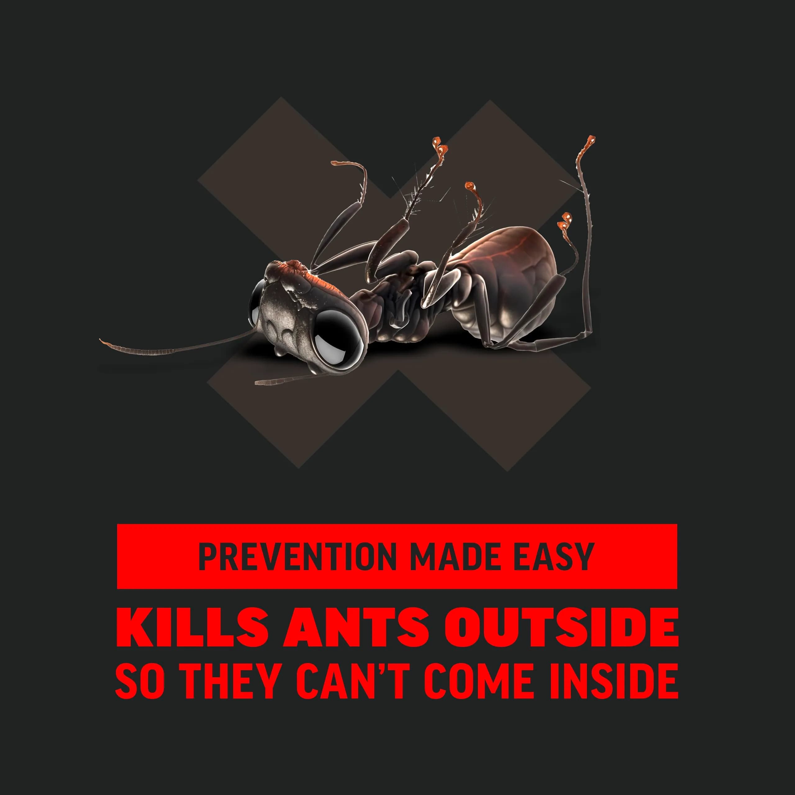 Amdro Ant Killer for Outdoor Home Perimeter Granules 24 Oz (680g) | Kills 25 Ant Species for 3 Months - view 5
