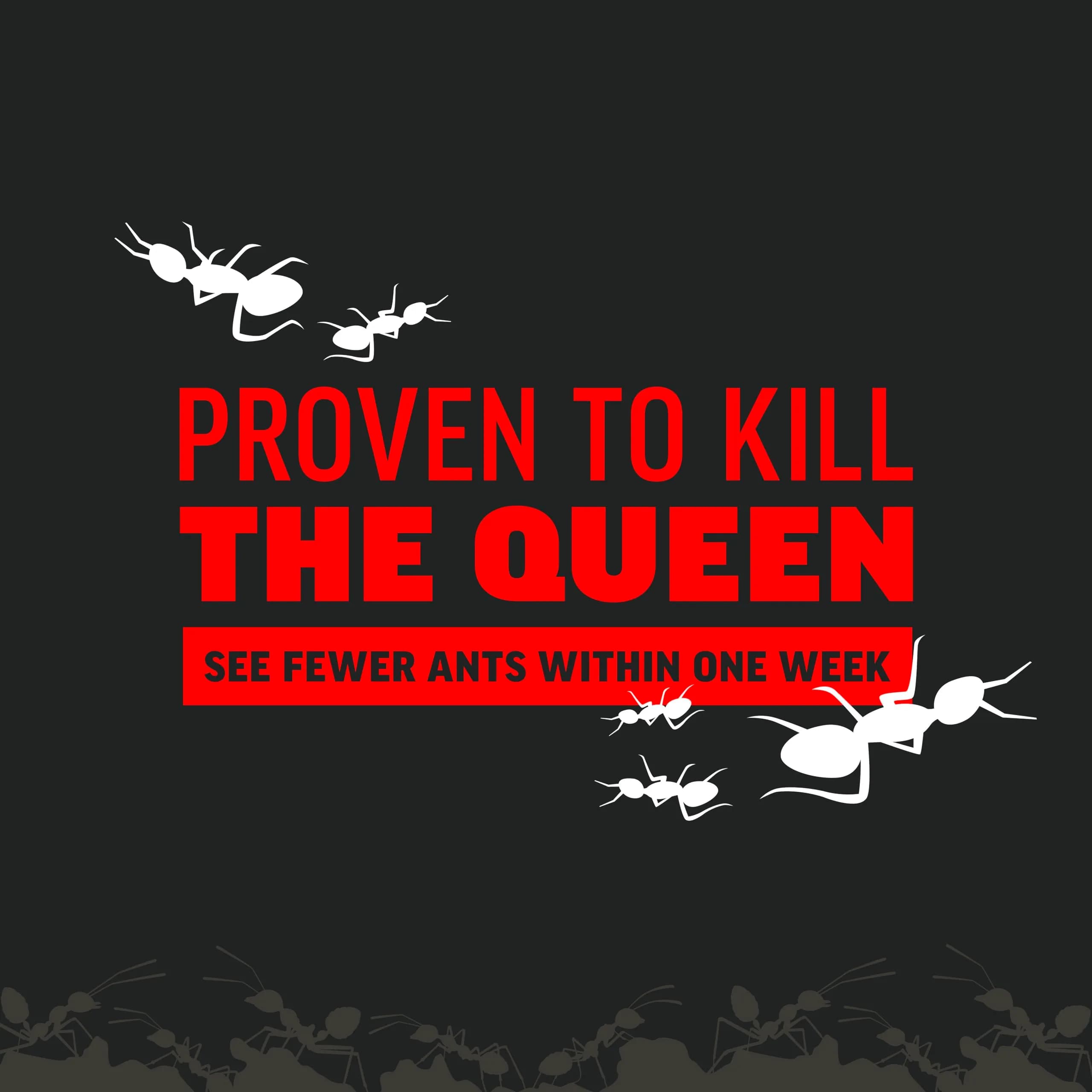 Amdro Ant Killer for Outdoor Home Perimeter Granules 24 Oz (680g) | Kills 25 Ant Species for 3 Months - view 6