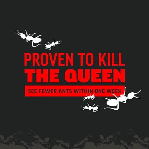 Amdro Ant Killer for Outdoor Home Perimeter Granules 24 Oz (680g) | Kills 25 Ant Species for 3 Months thumbnail 6