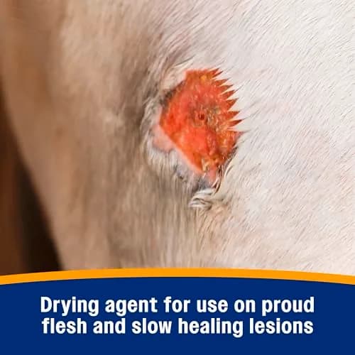 Farnam Wonder Dust Wound Powder 4 oz | Blood Coagulant for Horses & Livestock thumbnail 5