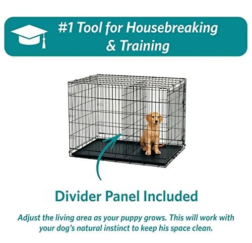 MidWest 24-Inch Double Door iCrate for Small Breeds 12-20 lbs | Secure & Foldable thumbnail 6