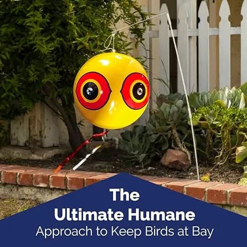 Bird-X Scare-Eye Balloon Predator Decoy 3 Colors (3 Count) | Scares Birds Pigeons thumbnail 5