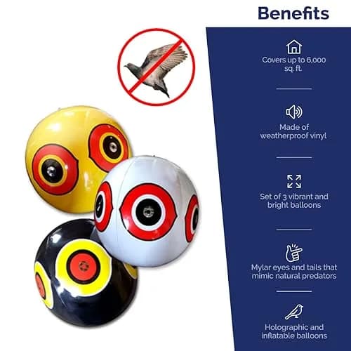 Bird-X Scare-Eye Balloon Predator Decoy 3 Colors (3 Count) | Scares Birds Pigeons thumbnail 3
