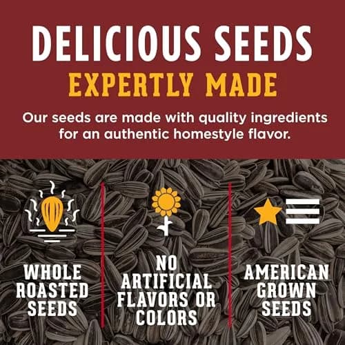 David Roasted & Salted Bar-B-Q Jumbo Sunflower Seeds 5.25 oz | Crunchy, flavorful snack for India thumbnail 4