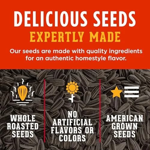 David Sunflower Seeds Jalapeño Hot Salsa Roasted & Salted 5.25 oz | Keto Friendly, 12 Pack thumbnail 4