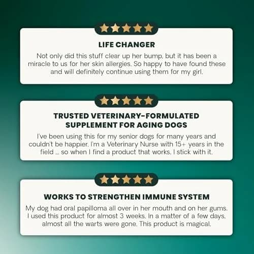 VetriScience Immunity Health for Medium & Large Dogs | Supports Immune & Cellular Wellness thumbnail 6