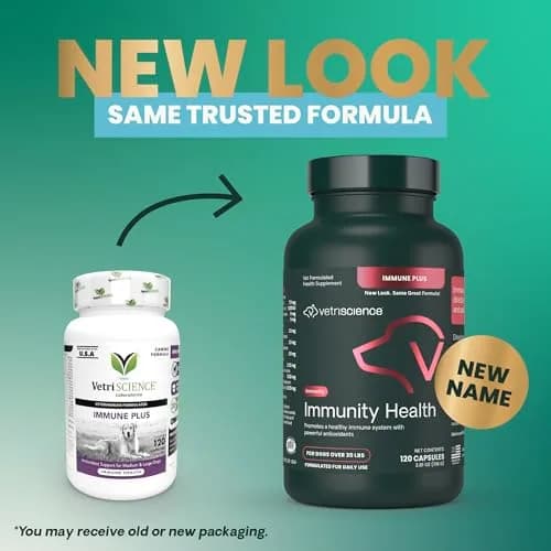VetriScience Immunity Health for Medium & Large Dogs | Supports Immune & Cellular Wellness thumbnail 2