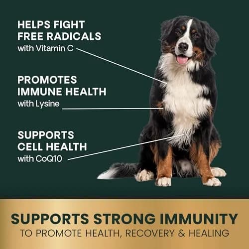 VetriScience Immunity Health for Medium & Large Dogs | Supports Immune & Cellular Wellness thumbnail 4