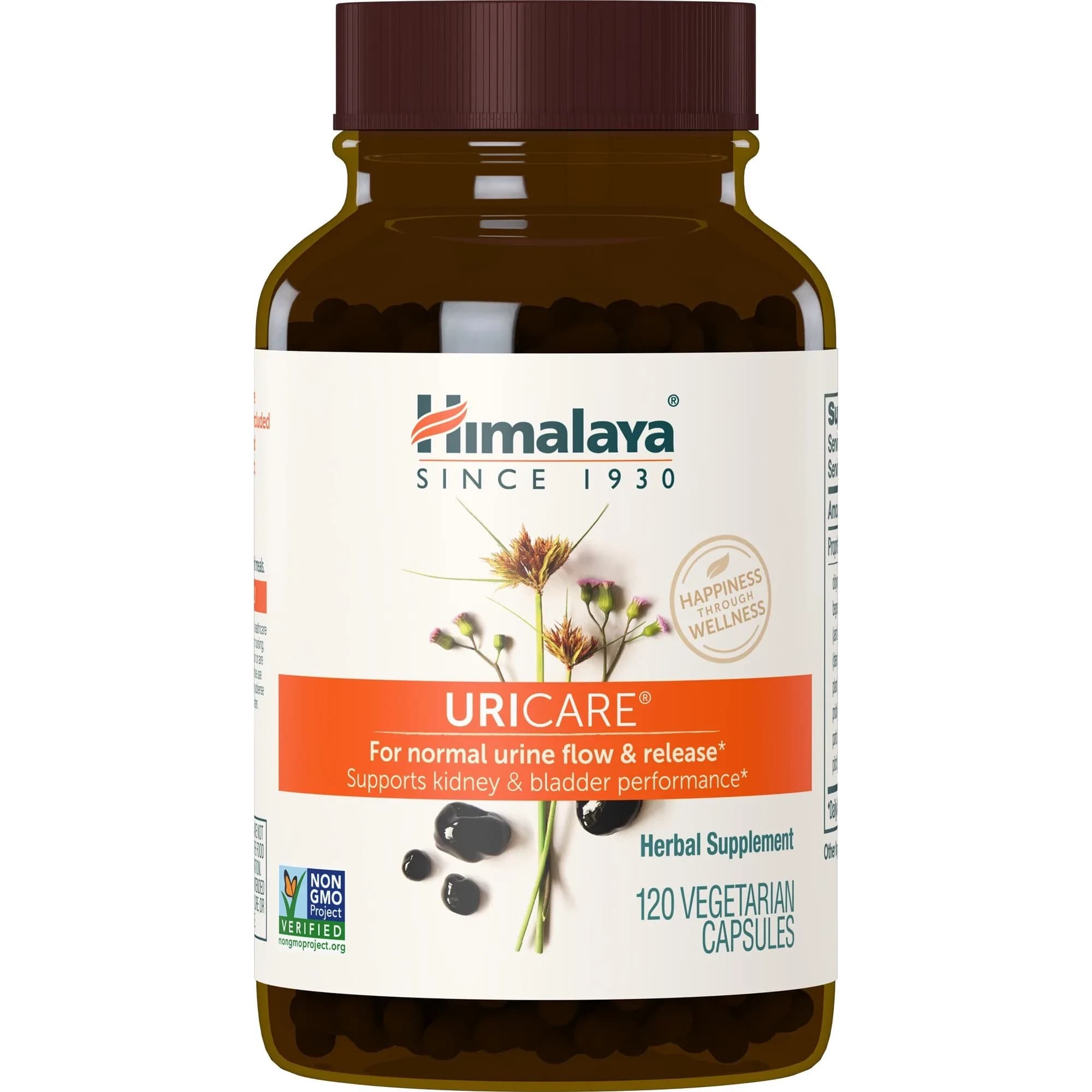 Himalaya UriCare Herbal Supplement 240 Capsules (60 Day Supply) | Kidney & Bladder Support — Capsule