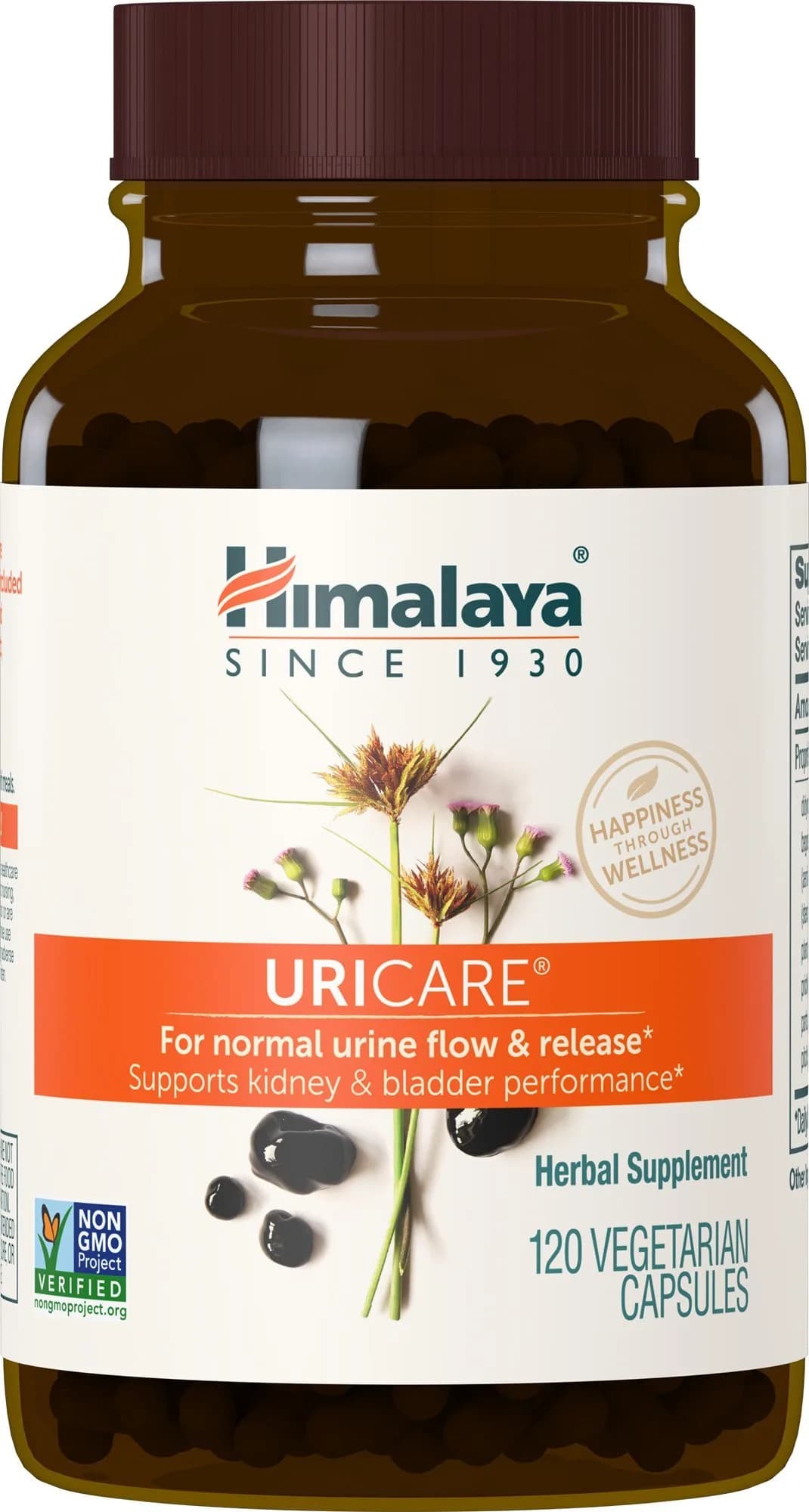 Himalaya UriCare Herbal Supplement 120 Capsules (4.23 oz) | Kidney & Bladder Support - main product image
