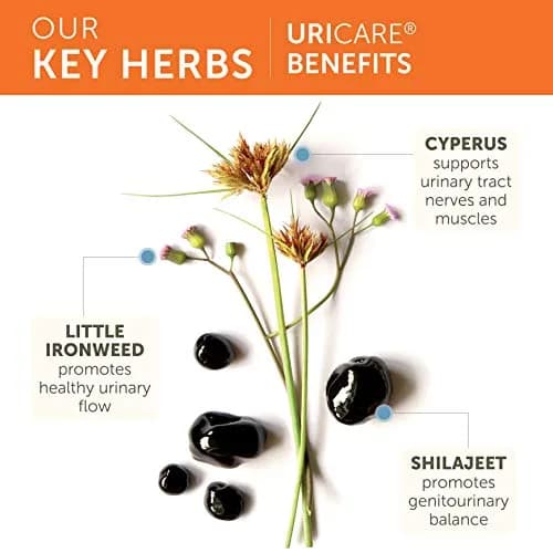 Himalaya UriCare Herbal Supplement 120 Capsules (4.23 oz) | Kidney & Bladder Support thumbnail 4