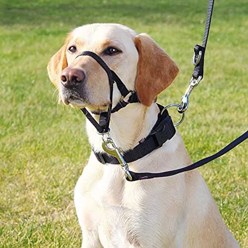 TRIXIE Top Trainer Training Harness, 22 cm | Dog Snout Strap for Safe Training thumbnail 2