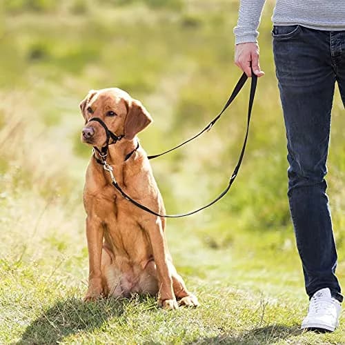 TRIXIE Top Trainer Training Harness, 22 cm | Dog Snout Strap for Safe Training thumbnail 3