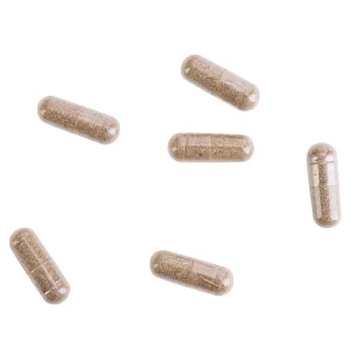 Kroeger Herb Products Wormwood Combination Digestive Support & Herbal Cleanse 100 Count Vegetarian Capsules | Natural Antioxidants for Daily Wellness thumbnail 7
