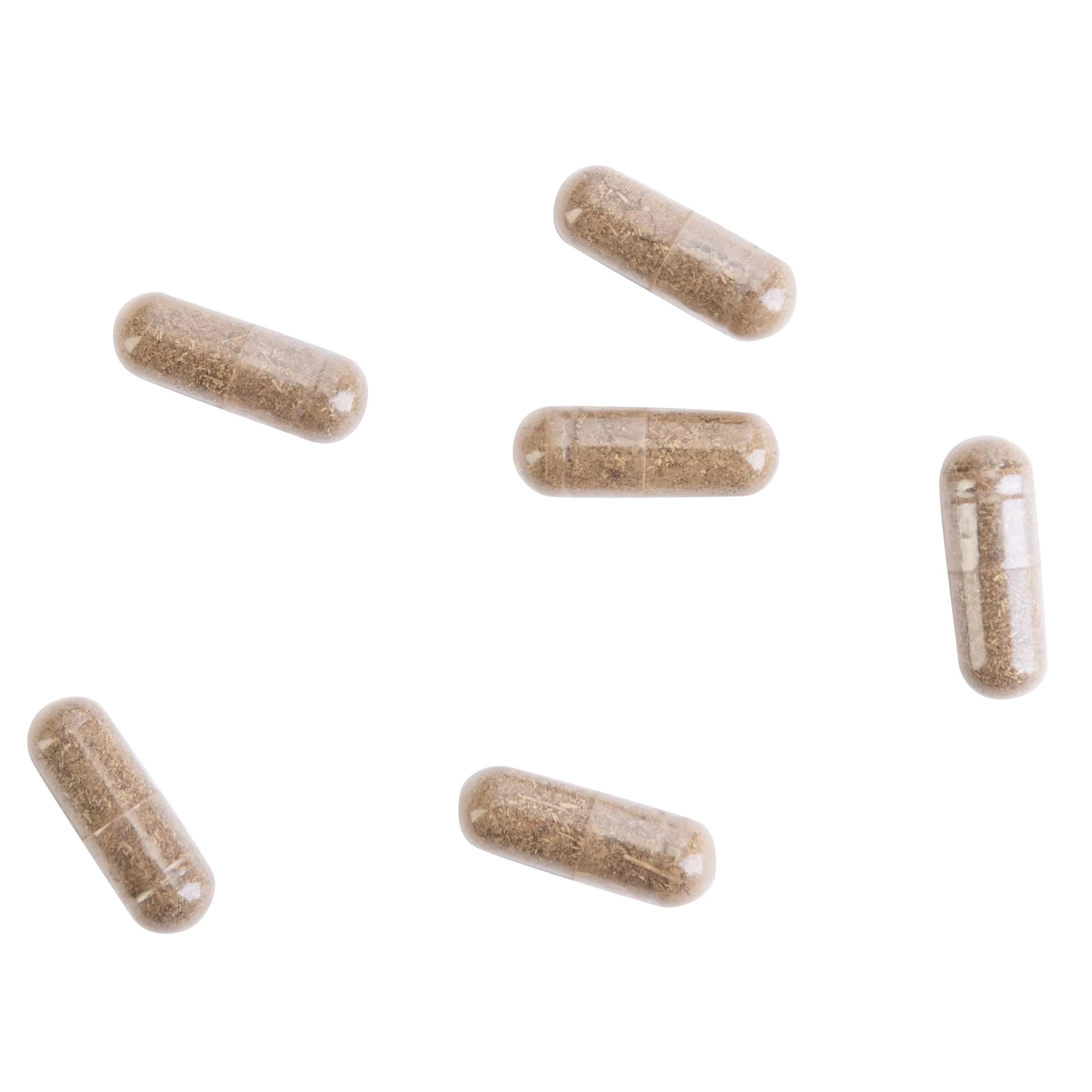 Kroeger Herb Products Wormwood Combination Digestive Support & Herbal Cleanse 100 Count Vegetarian Capsules | Natural Antioxidants for Daily Wellness - view 7