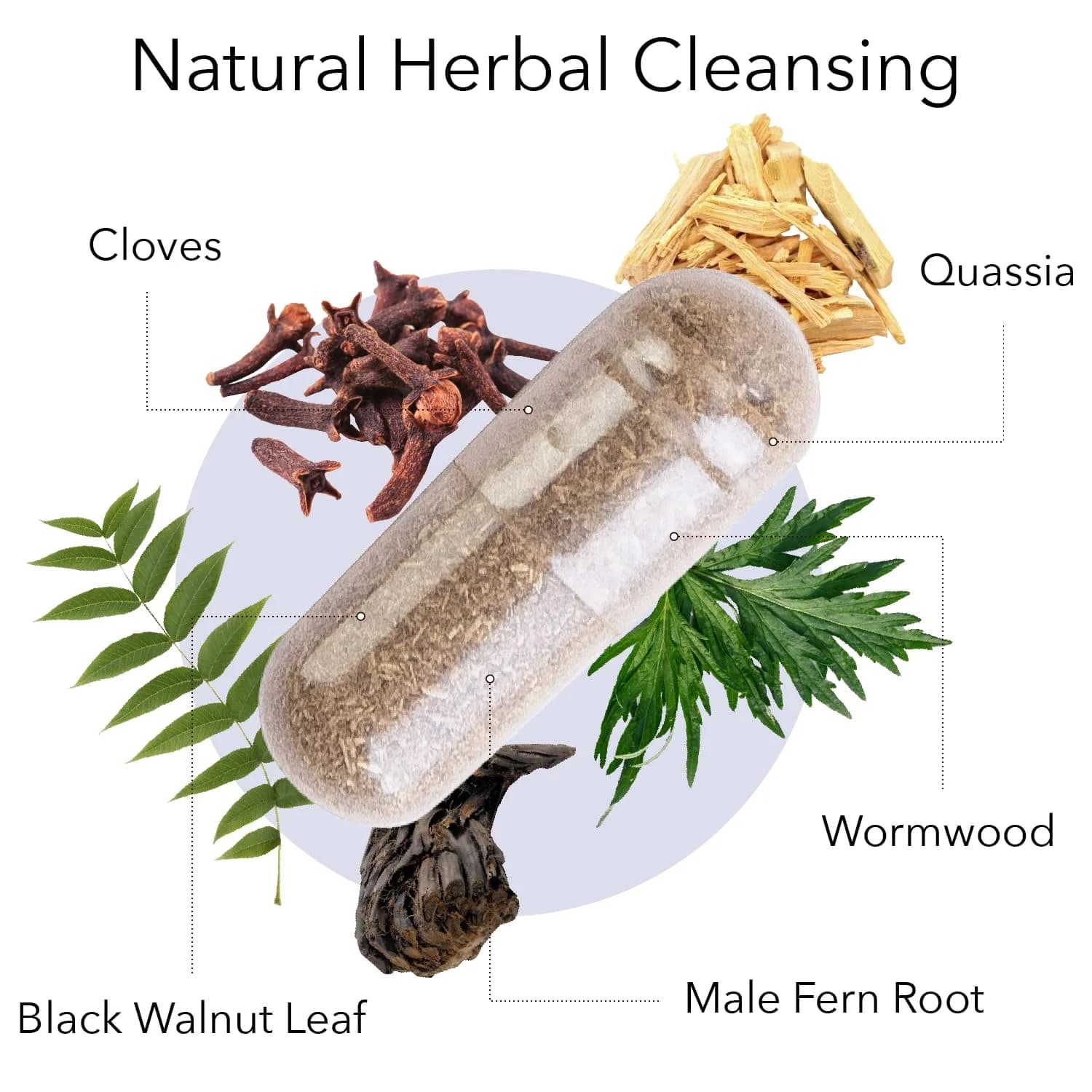 Kroeger Herb Products Wormwood Combination Digestive Support & Herbal Cleanse 100 Count Vegetarian Capsules | Natural Antioxidants for Daily Wellness - view 3