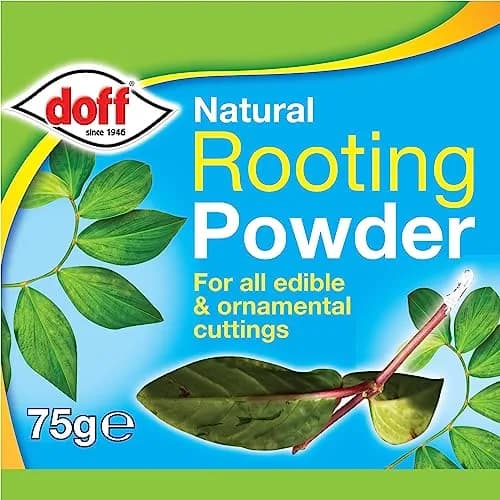 Doff Hormone Rooting Powder Plant & Cuttings 75g | Promotes Strong Roots All Year thumbnail 5