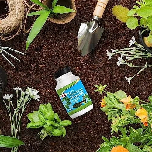 Doff Hormone Rooting Powder Plant & Cuttings 75g | Promotes Strong Roots All Year thumbnail 7