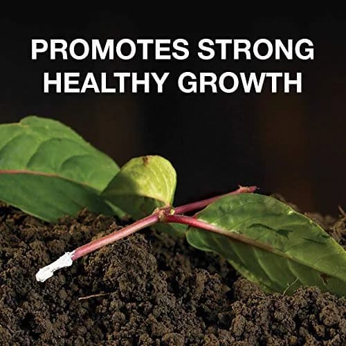 Doff Hormone Rooting Powder Plant & Cuttings 75g | Promotes Strong Roots All Year thumbnail 2