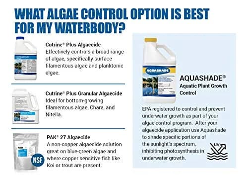 APPLIED BIOCHEMISTS Cutrine-Plus Granular Algaecide 12 lbs | Effective algae control for pools & ponds thumbnail 3