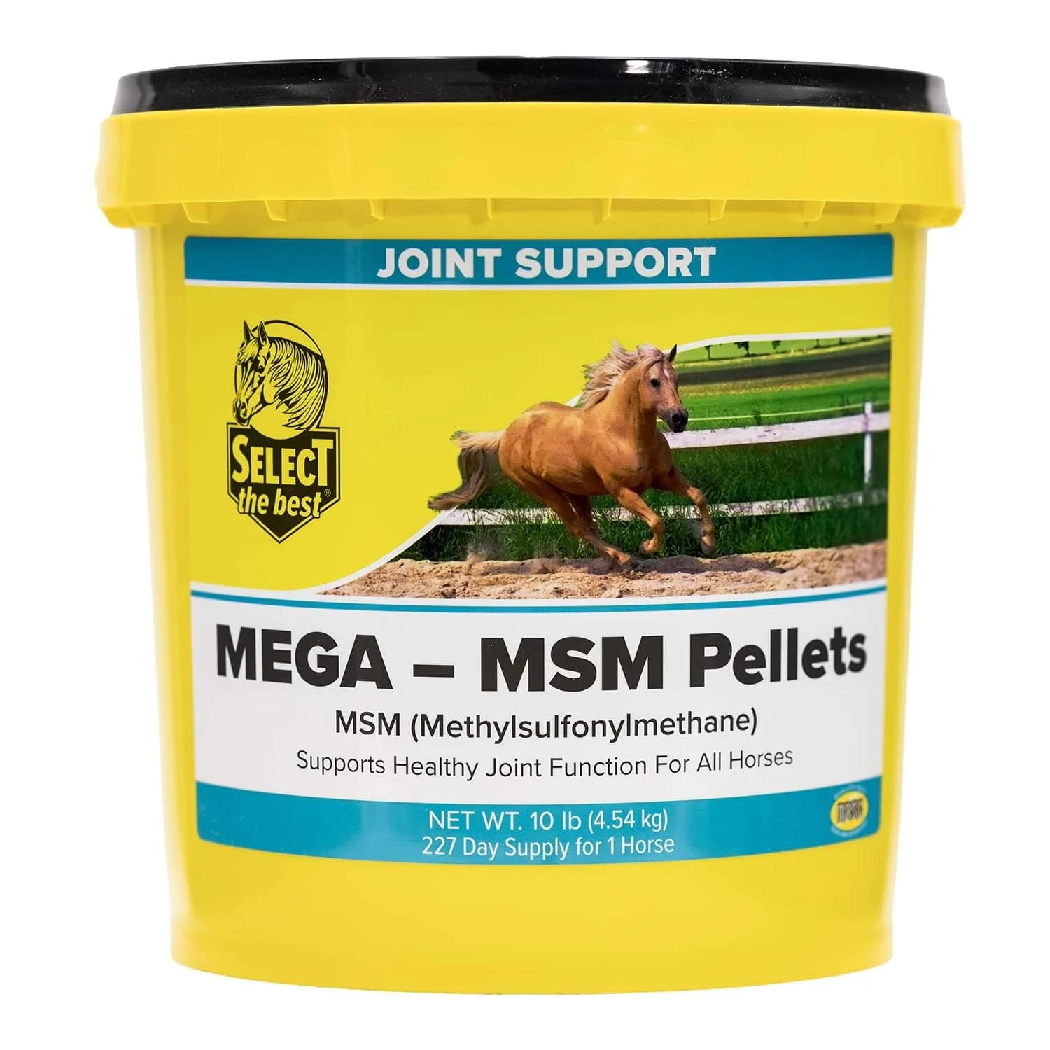 Select The Best Mega-MSM Pellets 5 lb Supports Joint Function with Palatability | USA Import — 10 lb
