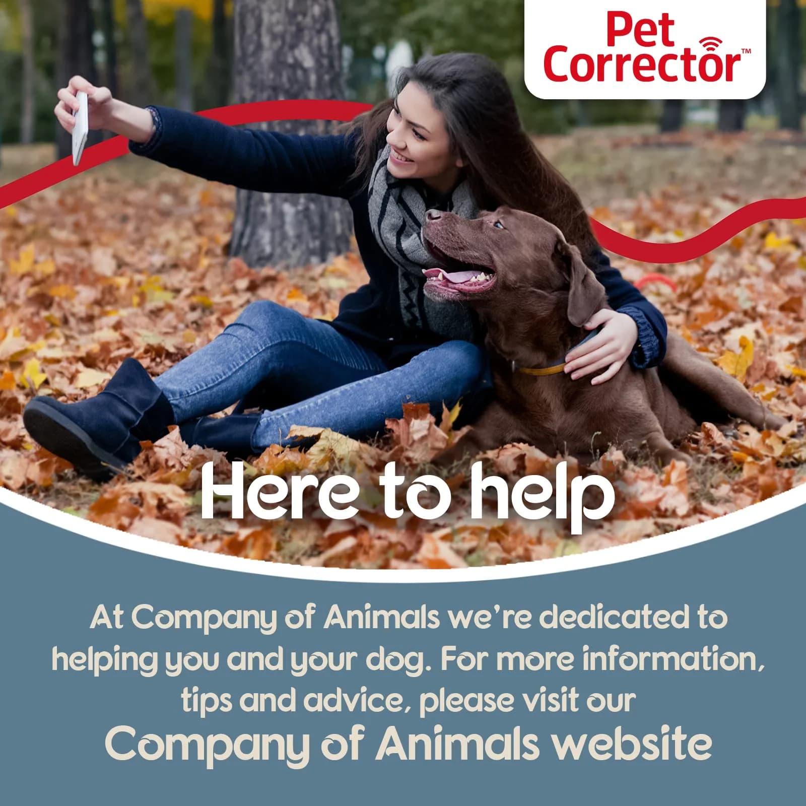 Pet Corrector Dog Trainer 50mL | Stops Barking, Jumping, Chewing & Aggression - view 5