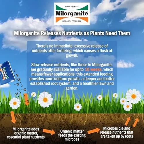 Milorganite All-Purpose Eco-Friendly Slow-Release Nitrogen 6-4-0 Fertilizer, 5 Pound Bag | Organic Lawn & Garden Feed thumbnail 4
