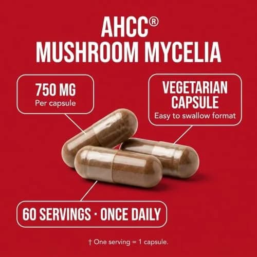 Olympian Labs Premium AHCC Supplement–750mg of AHCC per Capsule–Supports Immune Health, Liver Function, and Natural Killer Cell Activity- 60 Caps thumbnail 2