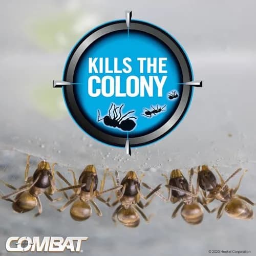 Combat Max Ant Killing Bait Stations, 6 Count | Targets Queen, Larvae & Entire Colony thumbnail 7