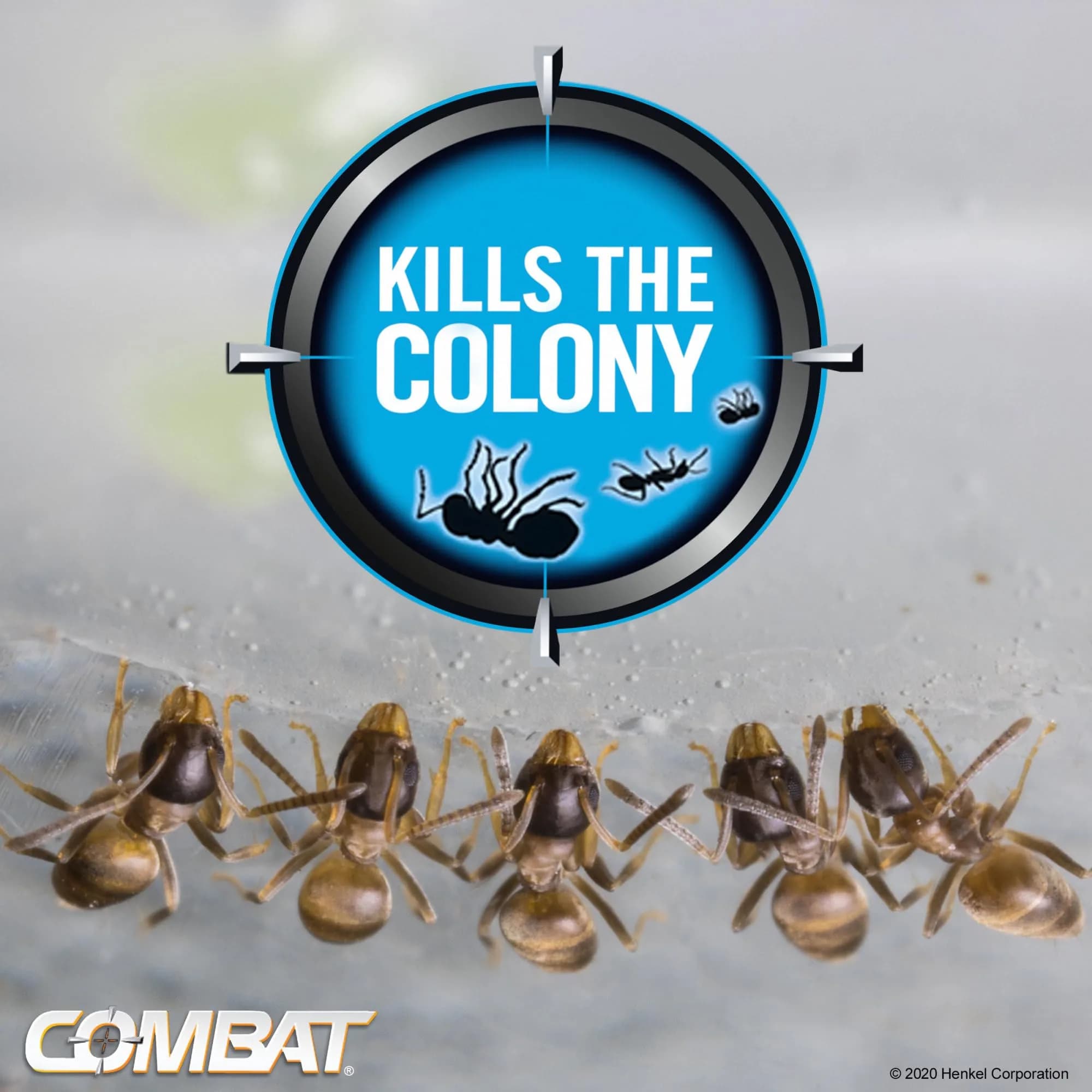 Combat Max Ant Killing Bait Stations, 6 Count | Targets Queen, Larvae & Entire Colony - view 7