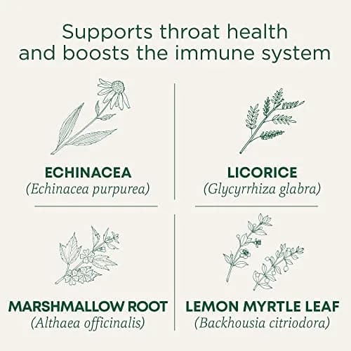 Traditional Medicinals Organic Throat Coat Lemon Echinacea Tea 16 ct | Supports Throat Health & Immune System thumbnail 2