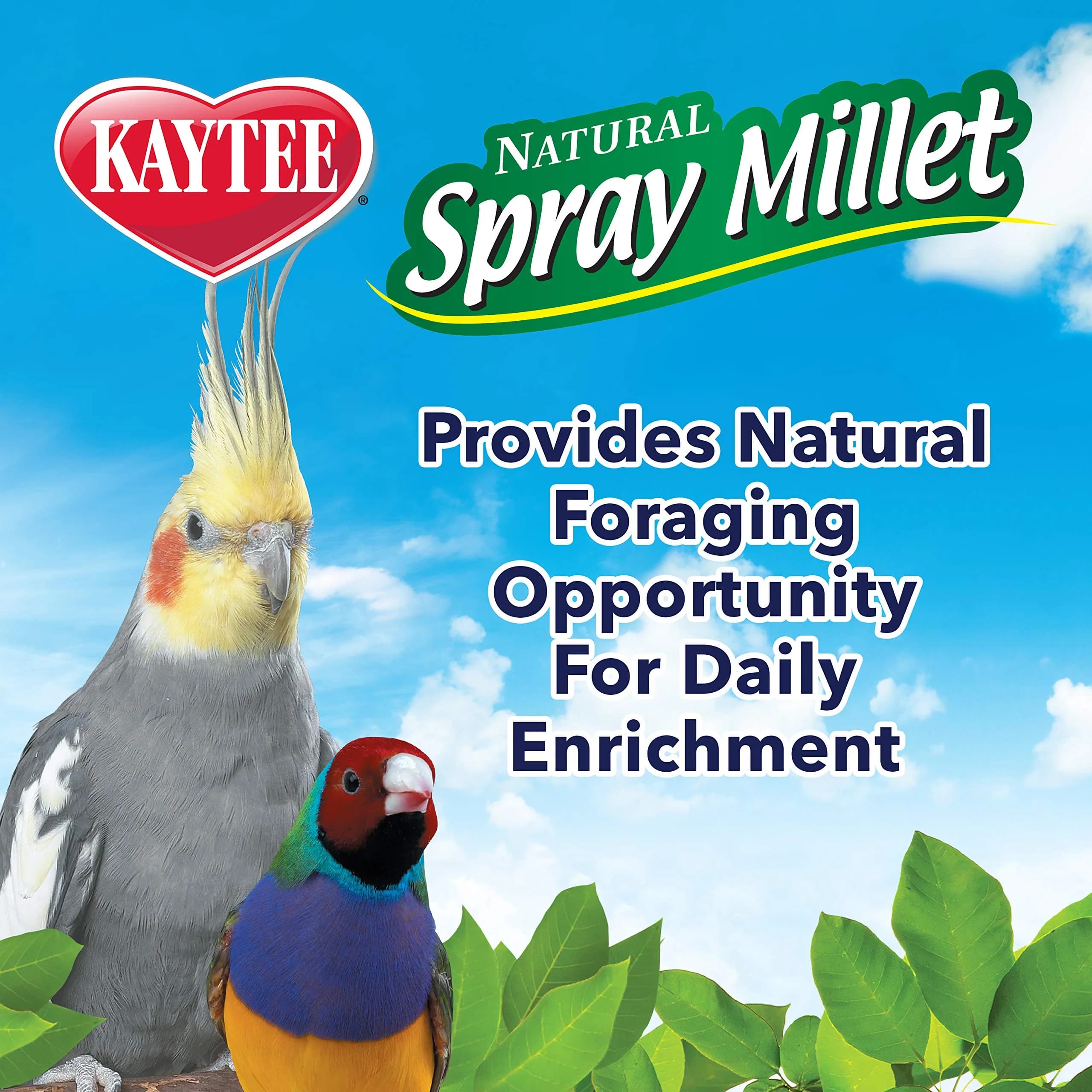 Kaytee Natural Spray Millet Treat for Pet Birds, 200g (7 oz) | All-Natural Foraging Enrichment - view 6