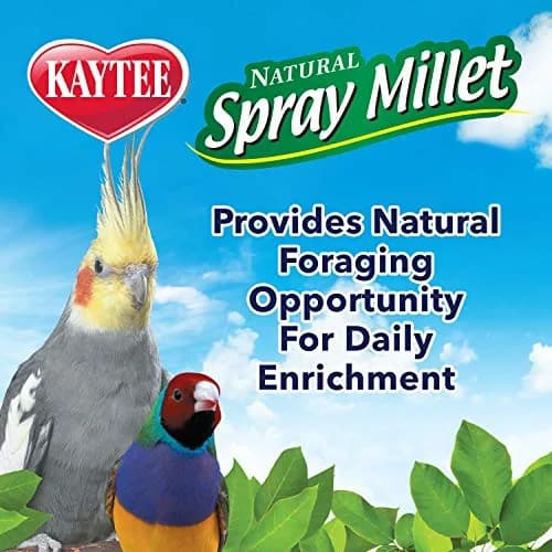 Kaytee Natural Spray Millet Treat for Pet Birds, 200g (7 oz) | All-Natural Foraging Enrichment thumbnail 6