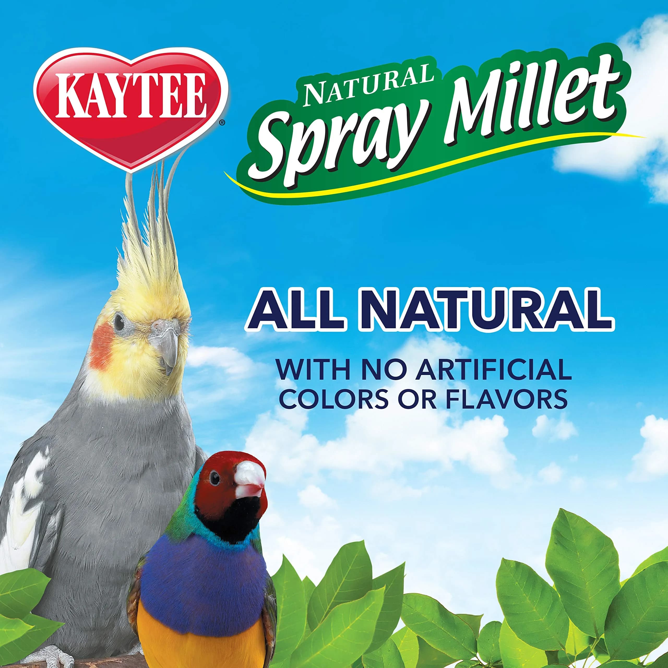 Kaytee Natural Spray Millet Treat for Pet Birds, 200g (7 oz) | All-Natural Foraging Enrichment - view 7