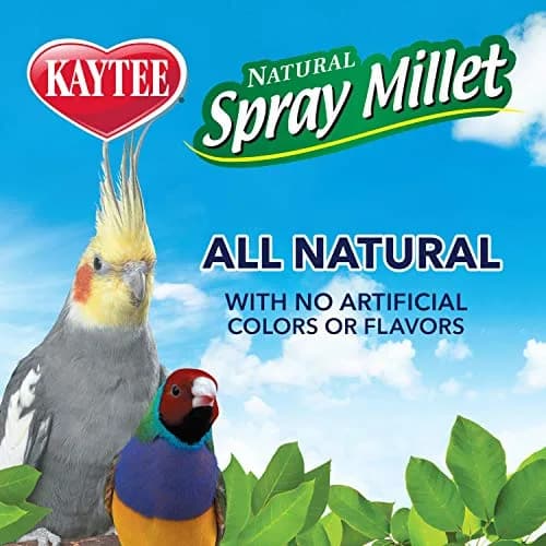 Kaytee Natural Spray Millet Treat for Pet Birds, 200g (7 oz) | All-Natural Foraging Enrichment thumbnail 7