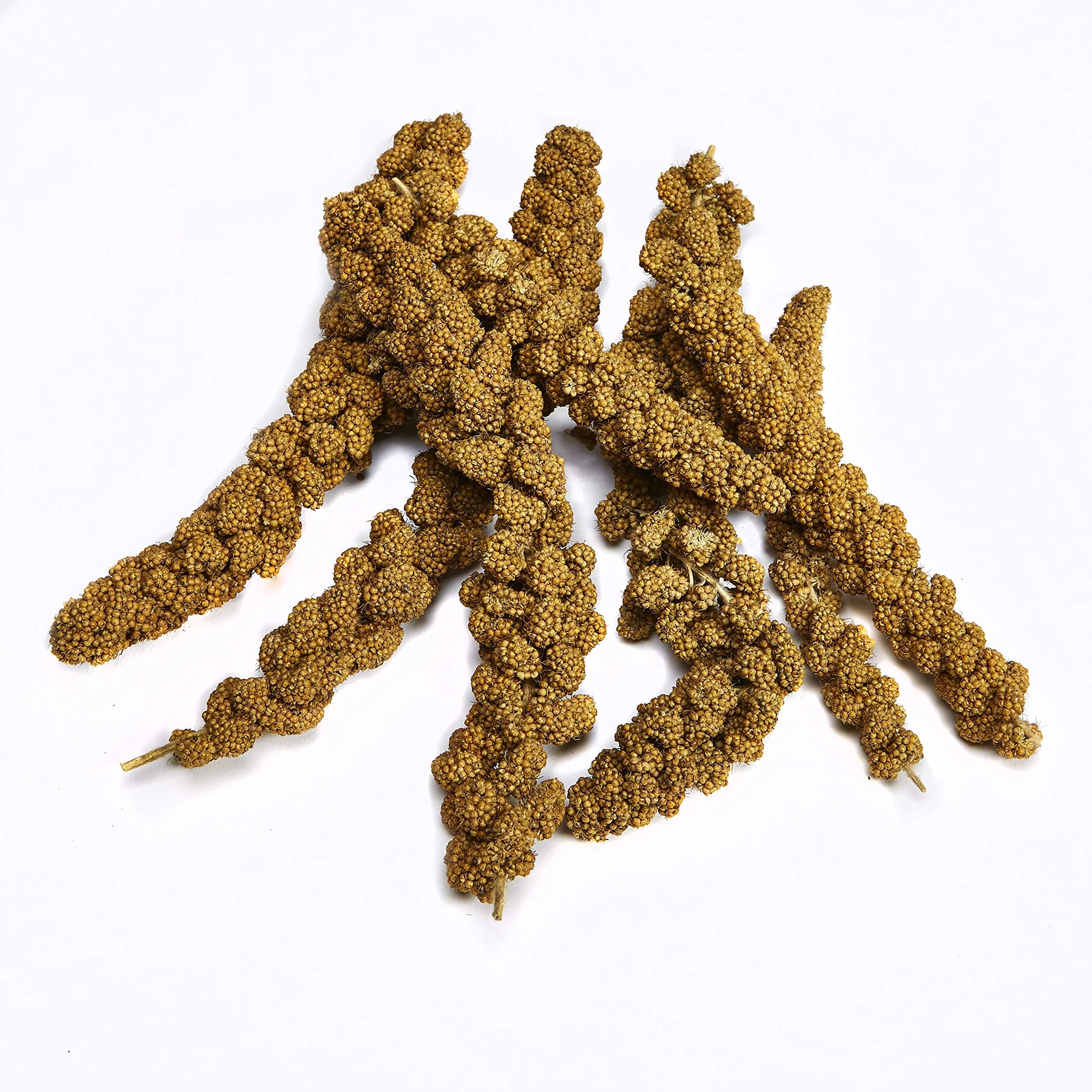 Kaytee Natural Spray Millet Treat for Pet Birds, 200g (7 oz) | All-Natural Foraging Enrichment - view 2