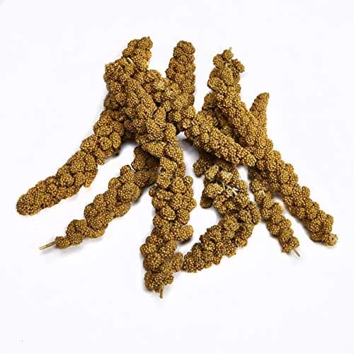 Kaytee Natural Spray Millet Treat for Pet Birds, 200g (7 oz) | All-Natural Foraging Enrichment thumbnail 2