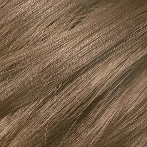 L'Oreal Paris Excellence Crème Permanent Hair Dye 8.5A Medium Light Ash Blonde Kit | Triple Care Color Routine — 6 Light Brown