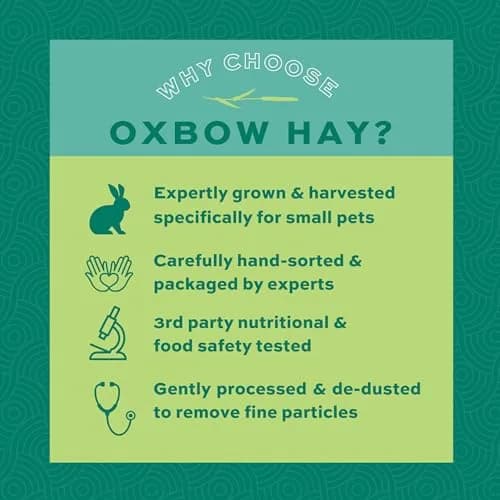 Oxbow Western Timothy Hay, Rabbit & Guinea Pig Hay, 1.13 kg (40 oz) | Supports Digestive & Dental Health thumbnail 5