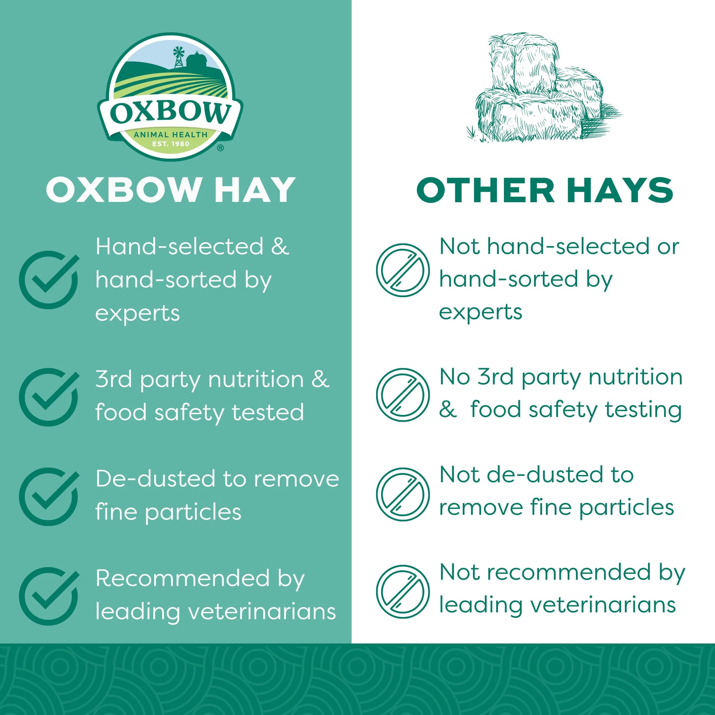 Oxbow Western Timothy Hay, Rabbit & Guinea Pig Hay, 1.13 kg (40 oz) | Supports Digestive & Dental Health - view 3