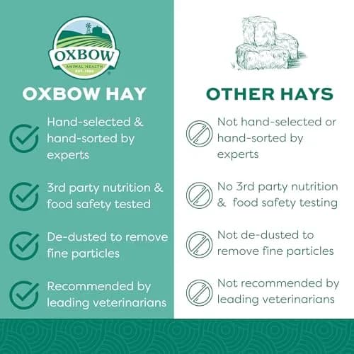 Oxbow Western Timothy Hay, Rabbit & Guinea Pig Hay, 1.13 kg (40 oz) | Supports Digestive & Dental Health thumbnail 3