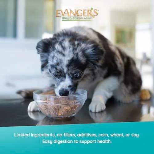 Evanger's Heritage Classic Beef with Chicken Dog Food – 12 Pack, 12.5 oz Each | Grain & Gluten Free thumbnail 3