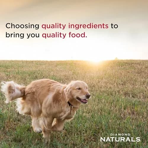Diamond Naturals Small & Medium Breed Puppy Dry Dog Food, Chicken, 40lb | Supports Growth & Development thumbnail 4